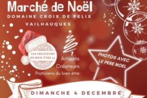 Marché de Noel & Animations