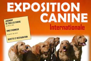Exposition Canine Internationale