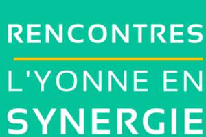 L'YONNE EN SYNERGIE