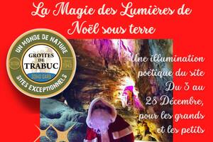 La Magie des Lumières de Noël sous terre