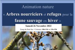 Animation Nature LPO