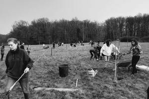 Chantier de plantation d'abres à Loches