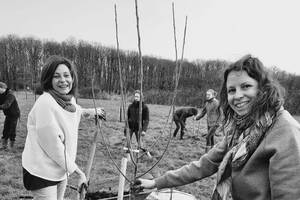 Chantier de plantation d'arbres commune de Monnaie