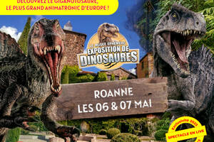 Le Musée Ephémère: les dinosaures arrivent à Roanne