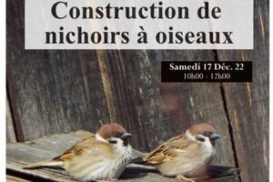 Construction de nichoirs à oiseaux !