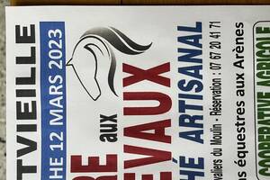 Foire aux chevaux marché artisanal
