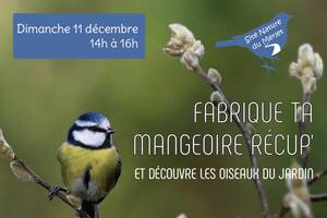 Fabrique ta mangeoire récup'