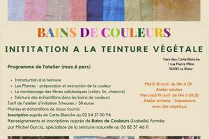 Atelier d'initiation à la teinture végétale