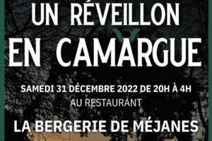 RÉVEILLON DU 31 DÉCEMBRE EN CAMARGUE