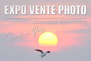 Exposition / Vente Photo