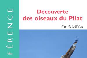 Découverte des oiseaux du Pilat