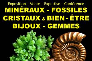 Salon Minéraux Fossiles Cristaux & Bien-Être Bijoux et Gemmes