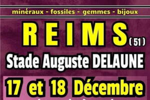 EXPO VENTE REIMS MINÉRAUX FOSSILES BIEN ÊTRE