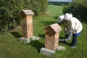 photo stage Apiculture ruche Warré