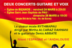 Concert Guitare et Voix