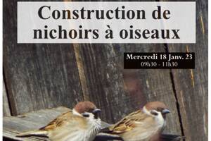 Atelier Construction de nichoirs à oiseaux !