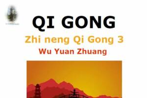 Stage Zhi neng Qi Gong 3ème méthode  Wu Yuan Zhuang