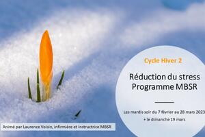 Programme de réduction du stress MBSR 8 semaines