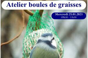 Confection de boules de graisses pour oiseaux, Apremont (73)