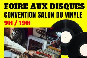 FOIRE AUX DISQUES /  CONVENTION SALON DU VINYLE  samedi 14  Octobre 2023