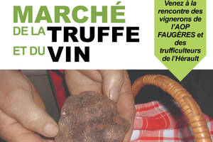 Marché aux truffes et vins