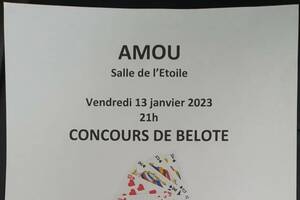 Concours de belote