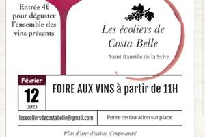 foire aux vins