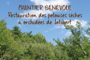 Chantier bénévoles : restauration des pelouses sèches à orchidées du site de Jolibert