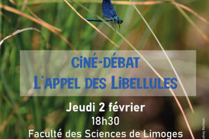 FIlm l'Appel des Libellules suivi d'échanges