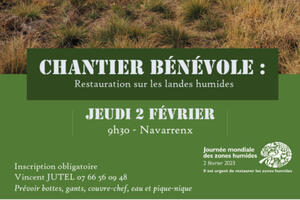 Chantier bénévole sur le site Peyrautucq à Navarrenx
