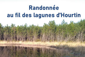 Randonnée au fil des lagunes d’Hourtin 