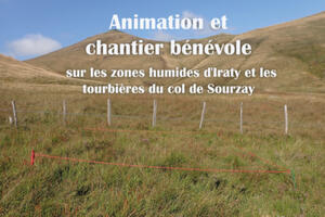 Animation et chantier de bénévole sur les zones humides d'Iraty et les tourbières du col de Sourzay