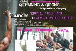 1er Stage Mensuel pour tous de Qigong & Qitraining.