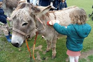 Atelier baby âne : De 18 mois à 4 ans