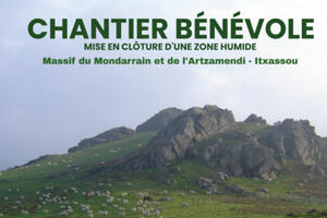 Chantier bénévole  : Mise en clôture d'une zone humide  