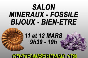 Salon minéraux, fossiles, bijoux de créateur et bien-être.