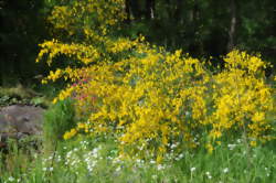 Bonjour Madame Nature, le printemps est là !