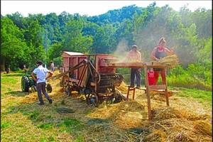 14ème Fête d'antan