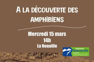 A la découverte des amphibiens