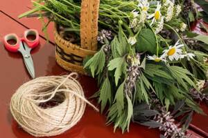 Journée d'initiation à l'herboristerie traditionnelle