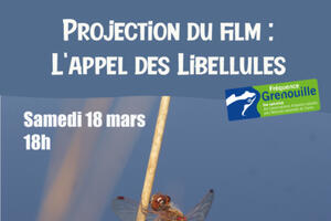 Projection du film : L'appel des Libellules