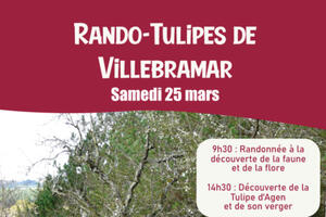 Rando-Tulipes de Villebramar