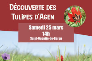 Découverte des Tulipes d’Agen