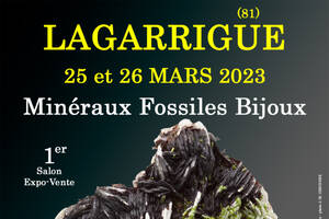 1er SALON MINERAUX FOSSILES BIJOUX de LAGARRIGUE (Tarn)