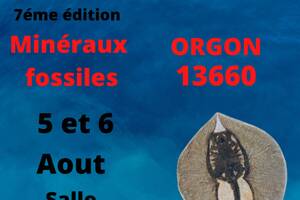 7éme bourse mineraux fossiles pierres taillées d'Orgon