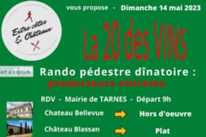 La 20 des VINS