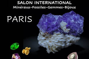 Salon International des Minéraux, Fossiles, Gemmes et Bijoux de Paris (75)