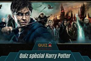 Quiz Boxing spécial Harry Potter