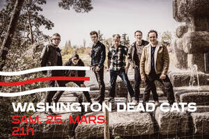 WASHINGTON DEAD CATS • Sortie 13