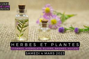 Atelier Herbes et Plantes Médicinales